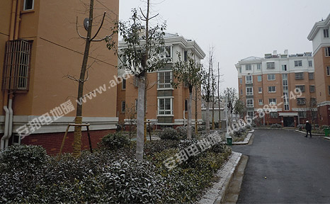 hУ^(q)ѩ20121226գb늵ůһ죬(dng)?sh)˽񶬵һ?chng)ѩ
